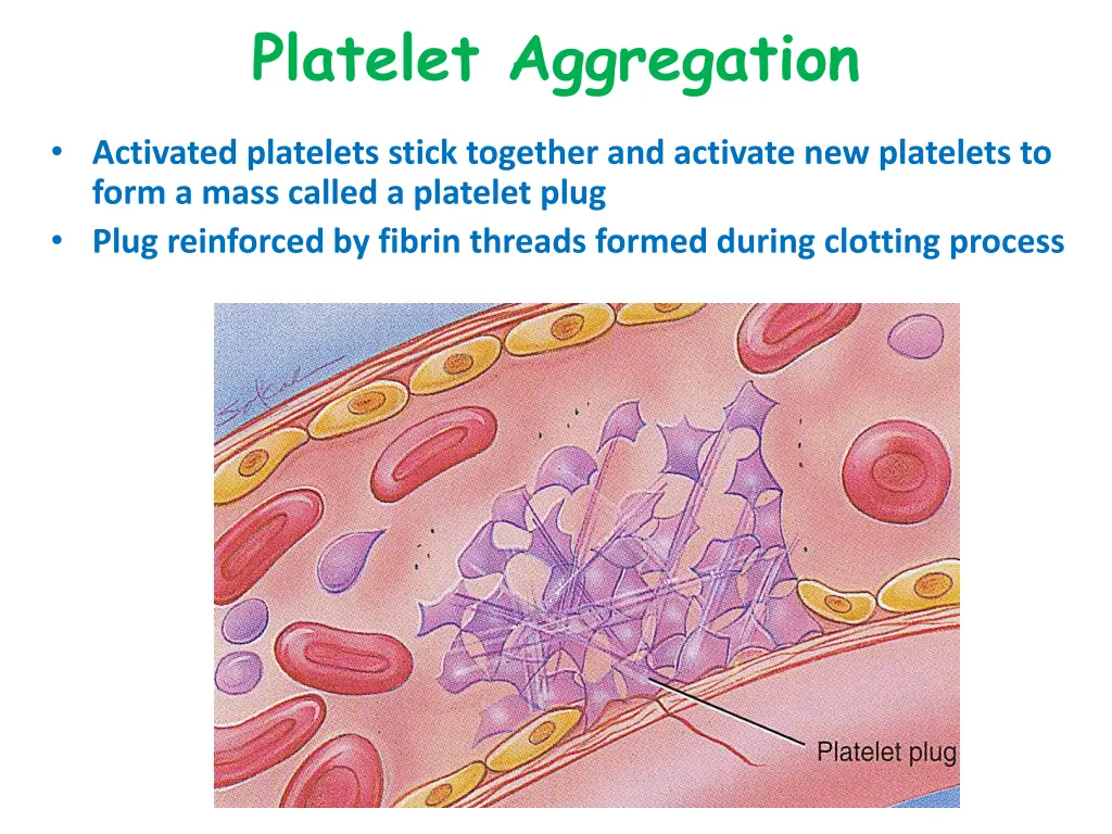 platelet aggregation