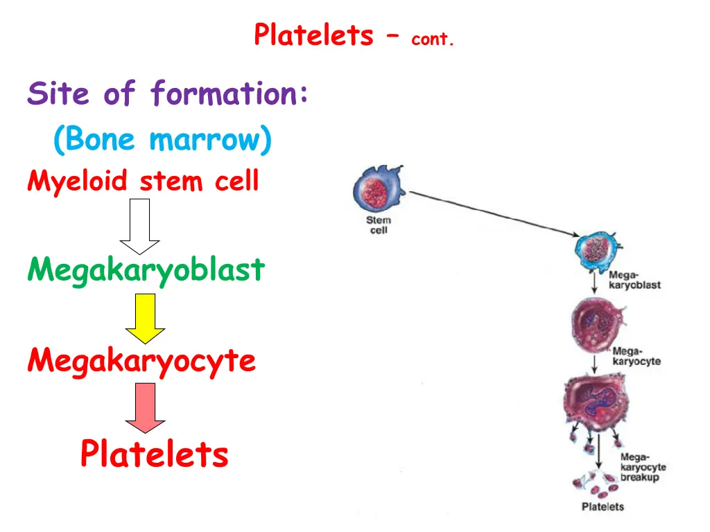 platelets cont