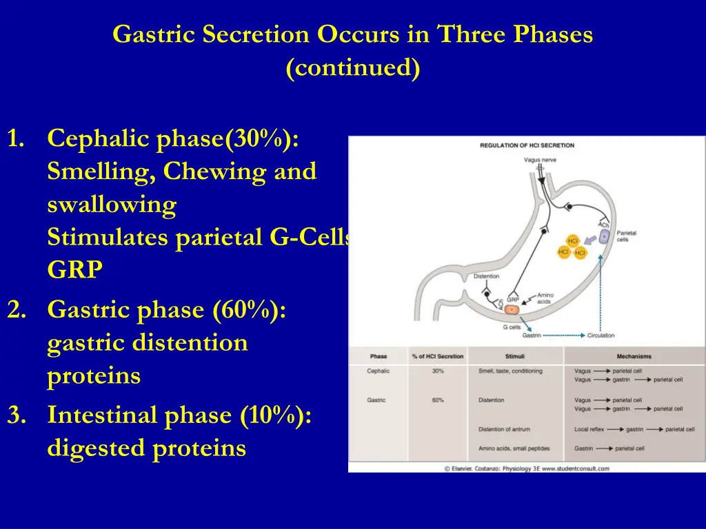 gastric secretion occurs in three phases continued 1