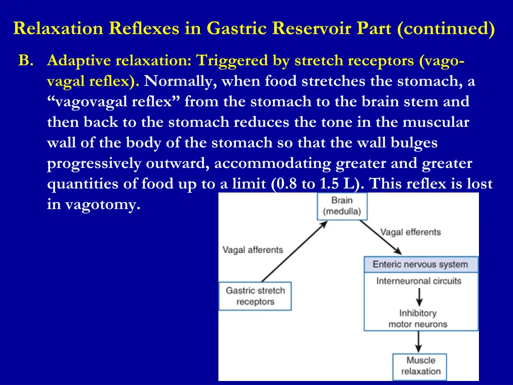 relaxation reflexes in gastric reservoir part 1