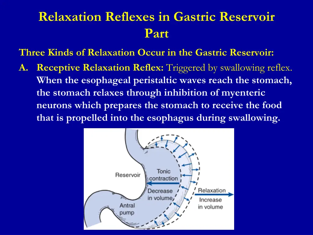 relaxation reflexes in gastric reservoir part