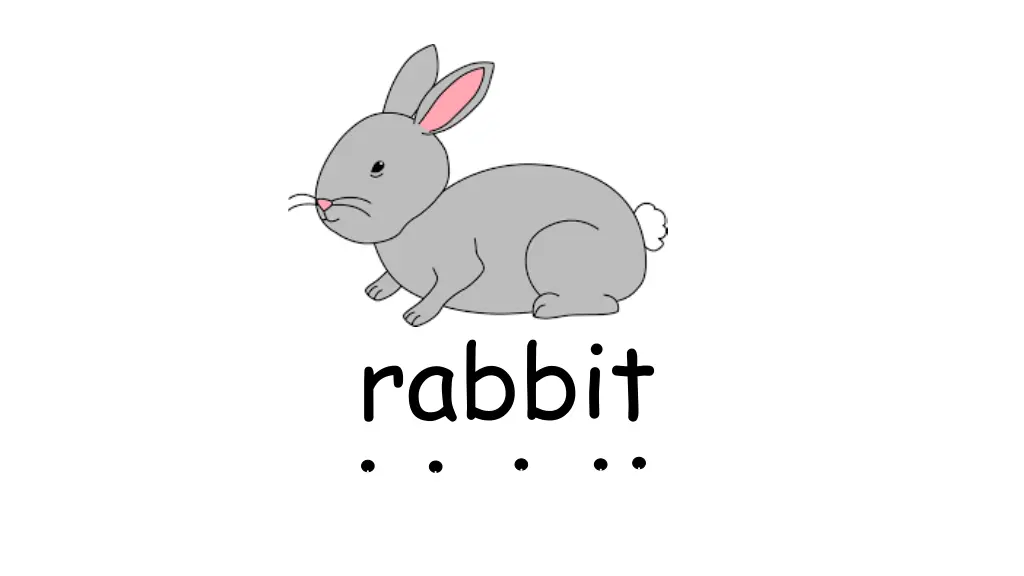 rabbit