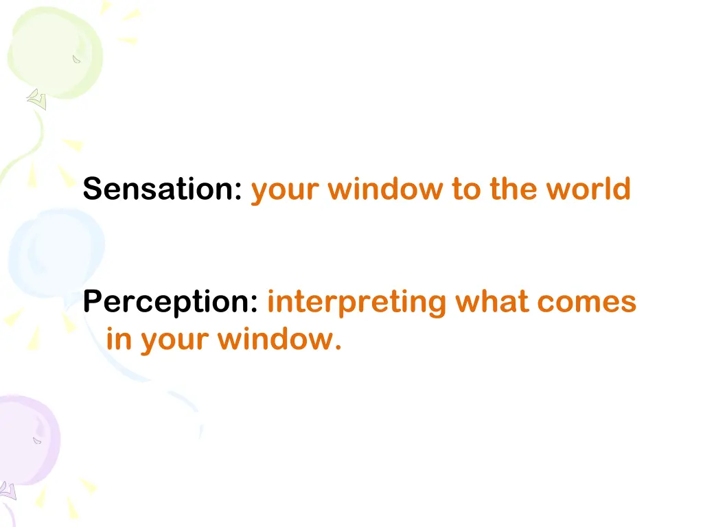 sensation your window to the world