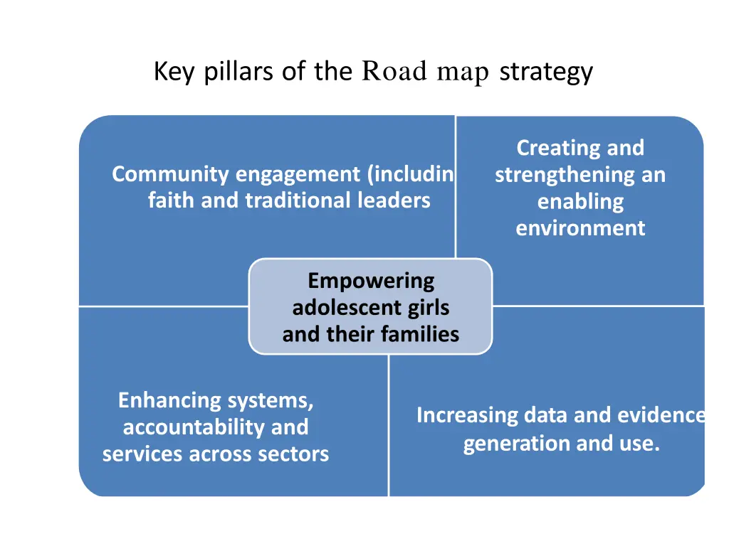 key pillars of the road map strategy