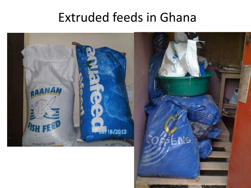 extruded feeds in ghana