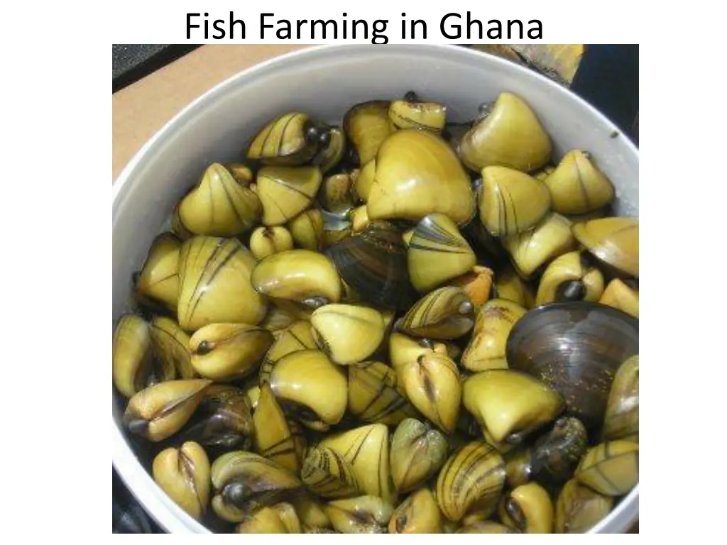 fish farming in ghana 1