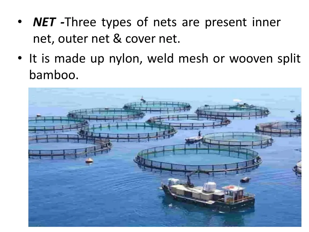 net three types of nets are present inner