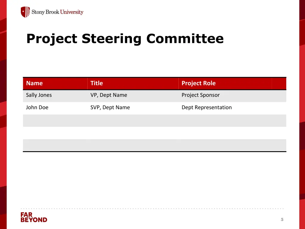 project steering committee