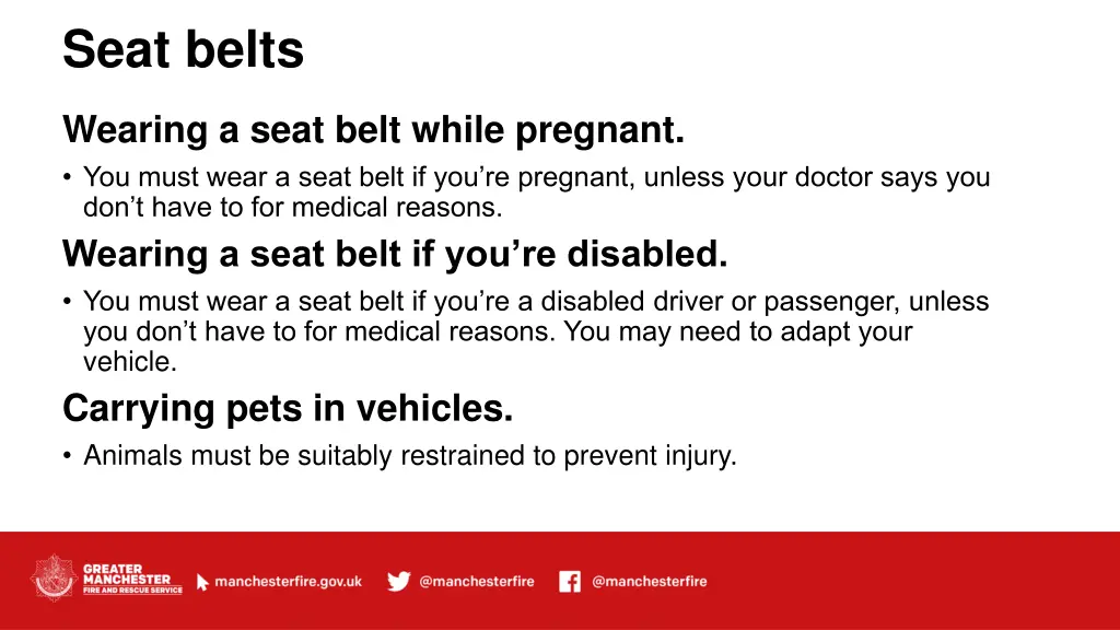 seat belts 3