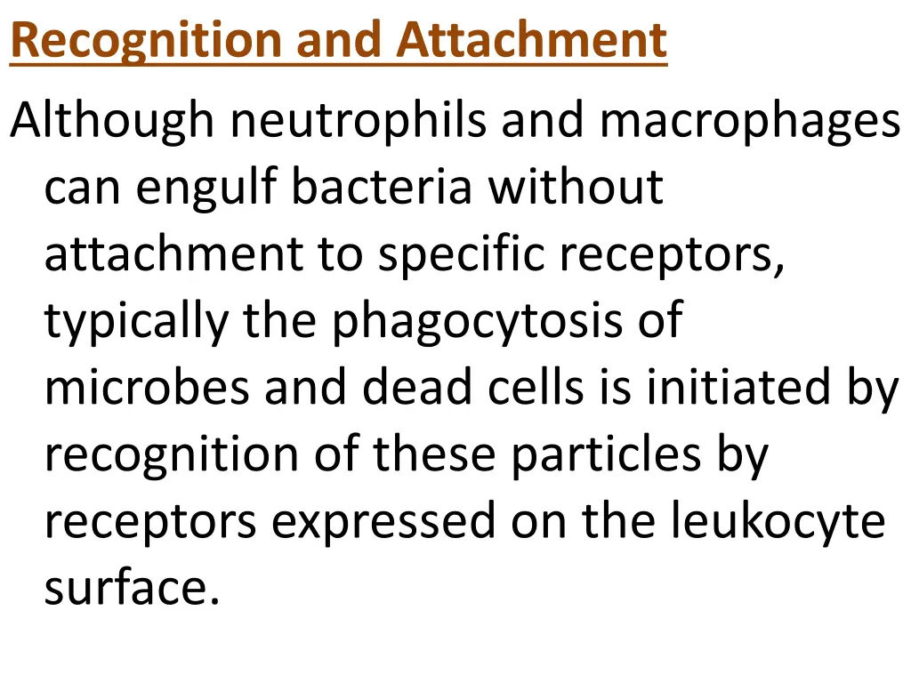 recognition and attachment although neutrophils