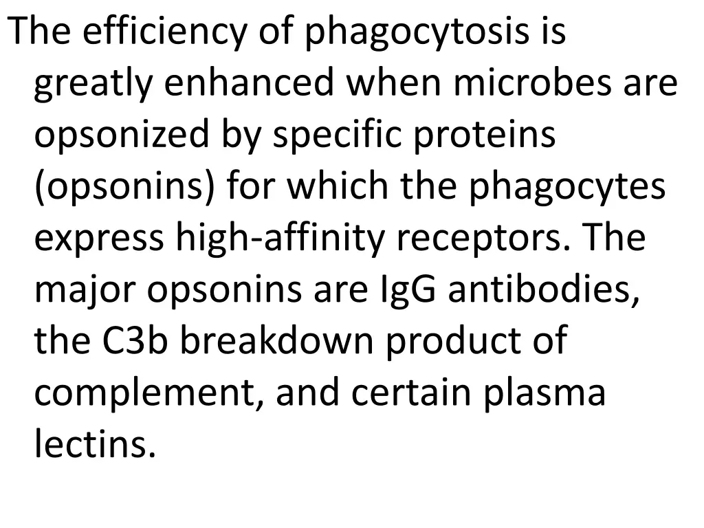 the efficiency of phagocytosis is greatly