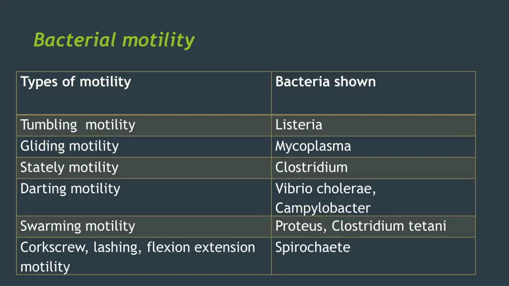 bacterial motility