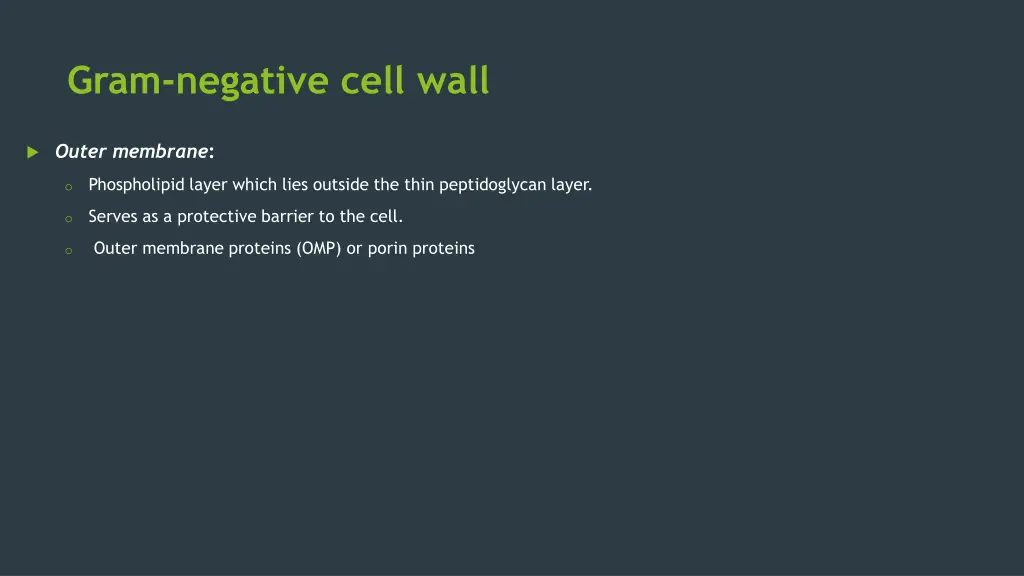 gram negative cell wall 1