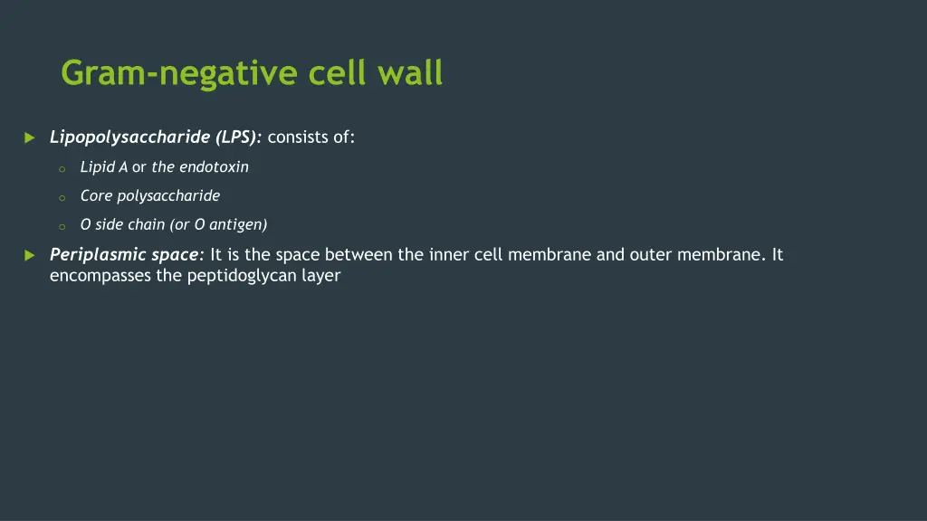 gram negative cell wall 2