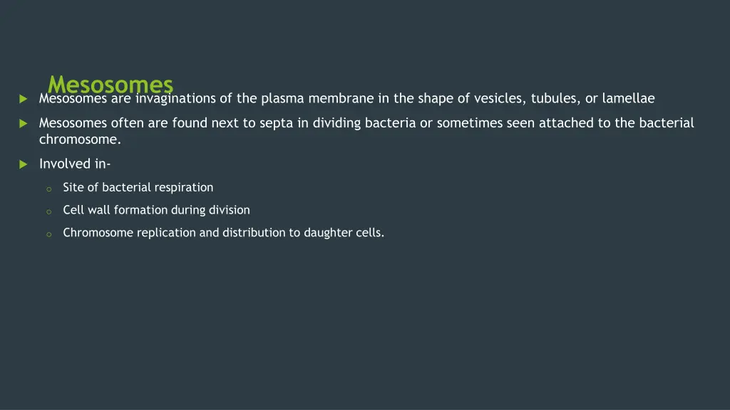 mesosomes mesosomes are invaginations