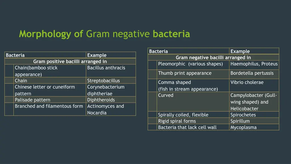 morphology of gram negative bacteria