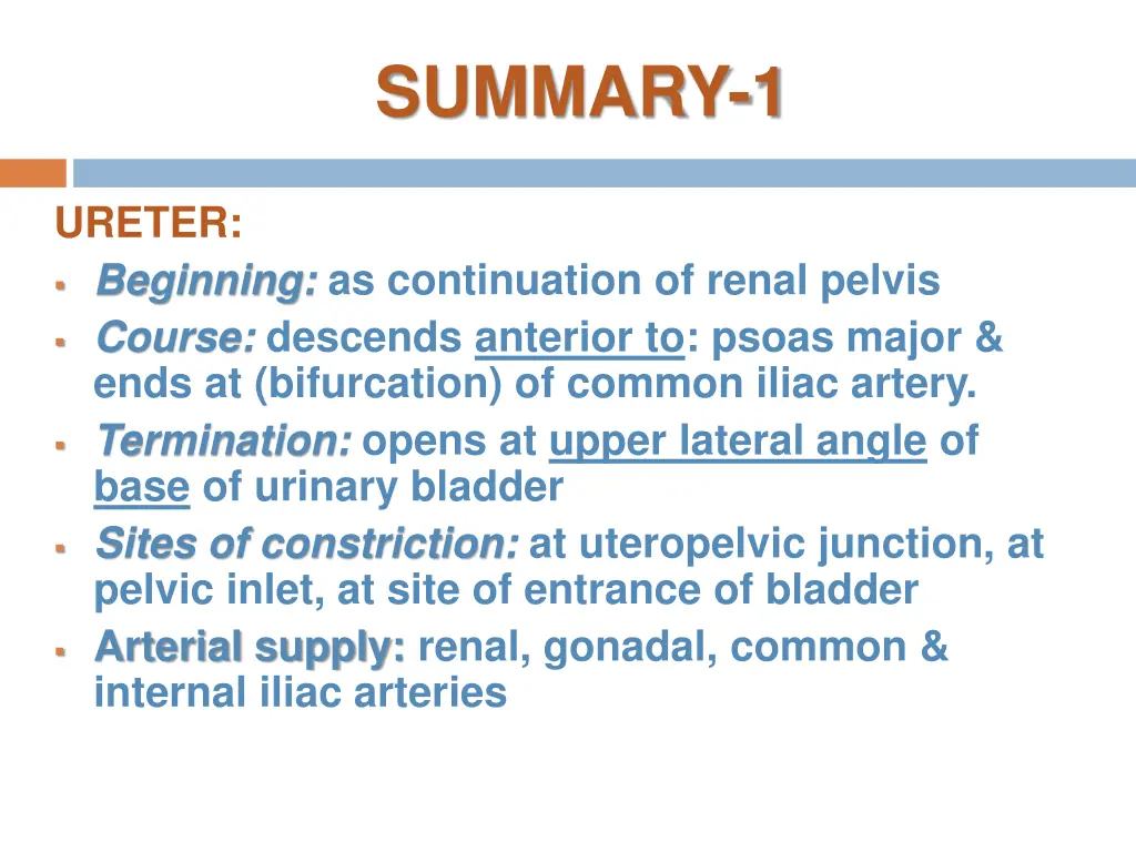 summary 1