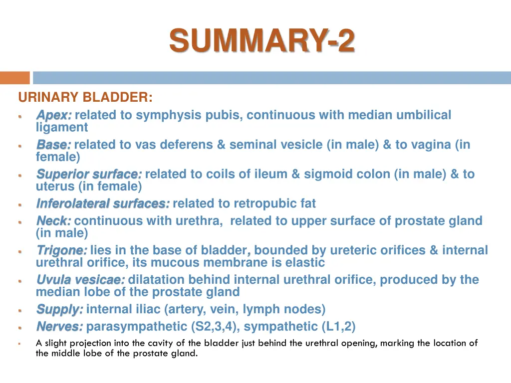 summary 2