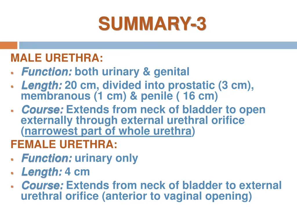 summary 3