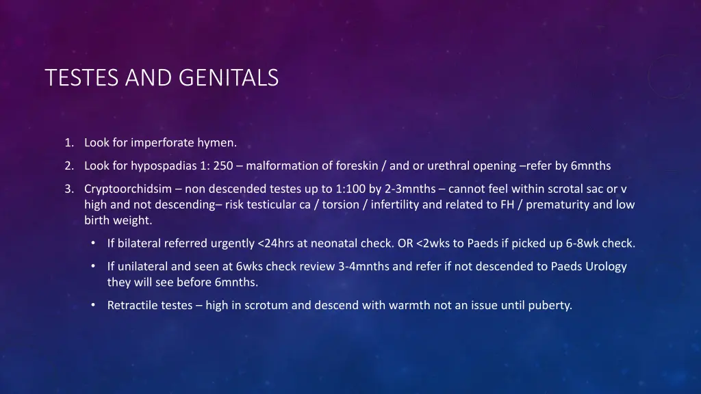 testes and genitals