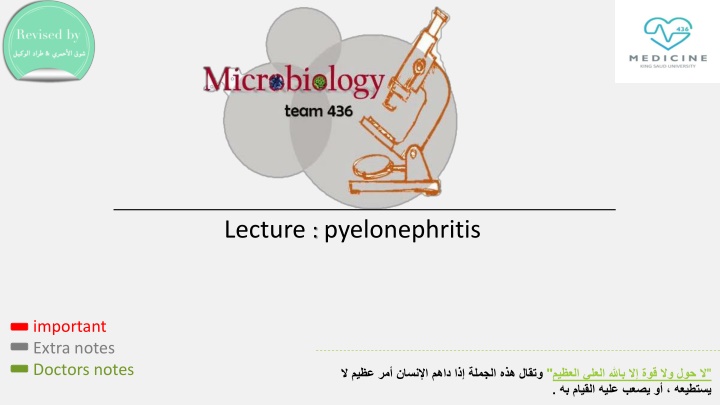 lecture pyelonephritis