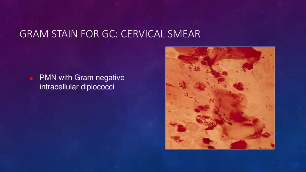 gram stain for gc cervical smear