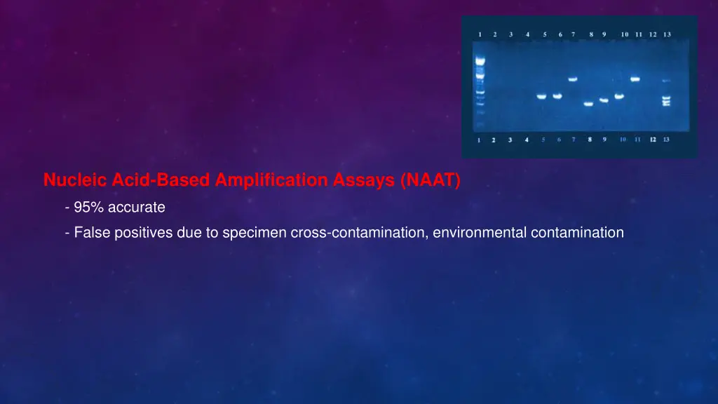 nucleic acid based amplification assays naat