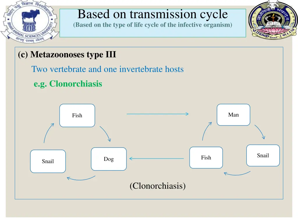 based on transmission cycle based on the type 4