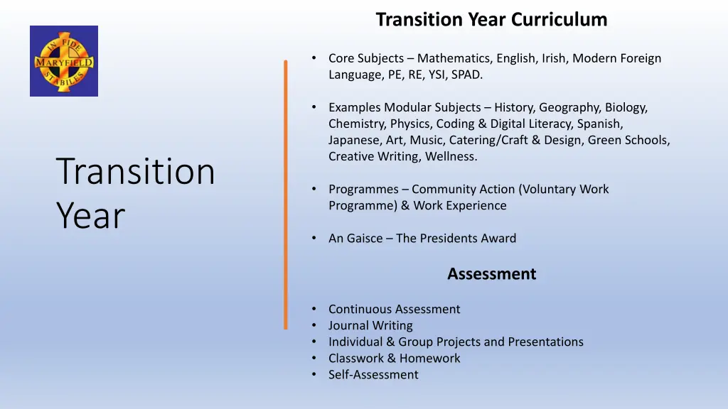 transition year curriculum