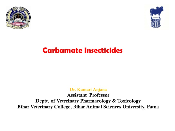 carbamate insecticides