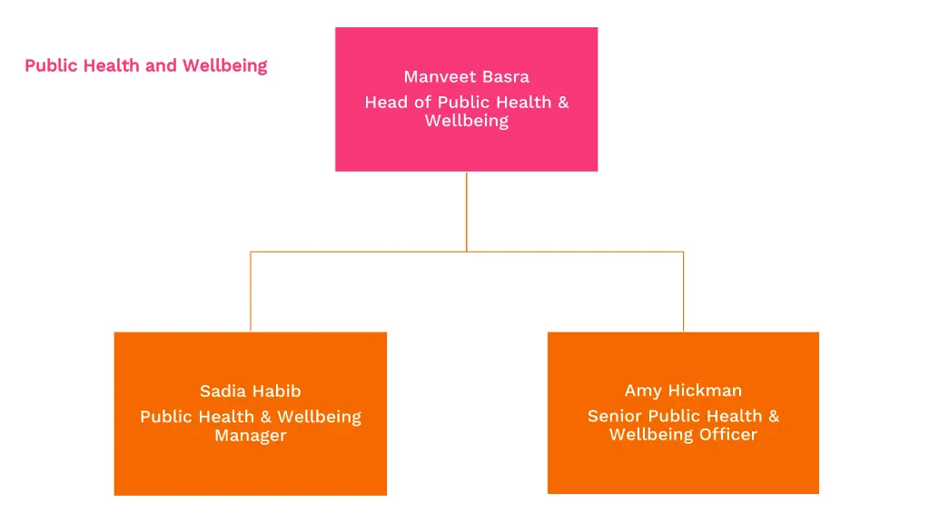 public health and wellbeing public health