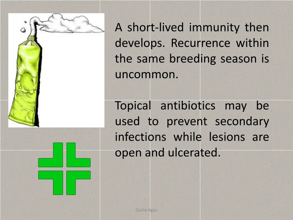 a short lived immunity then develops recurrence