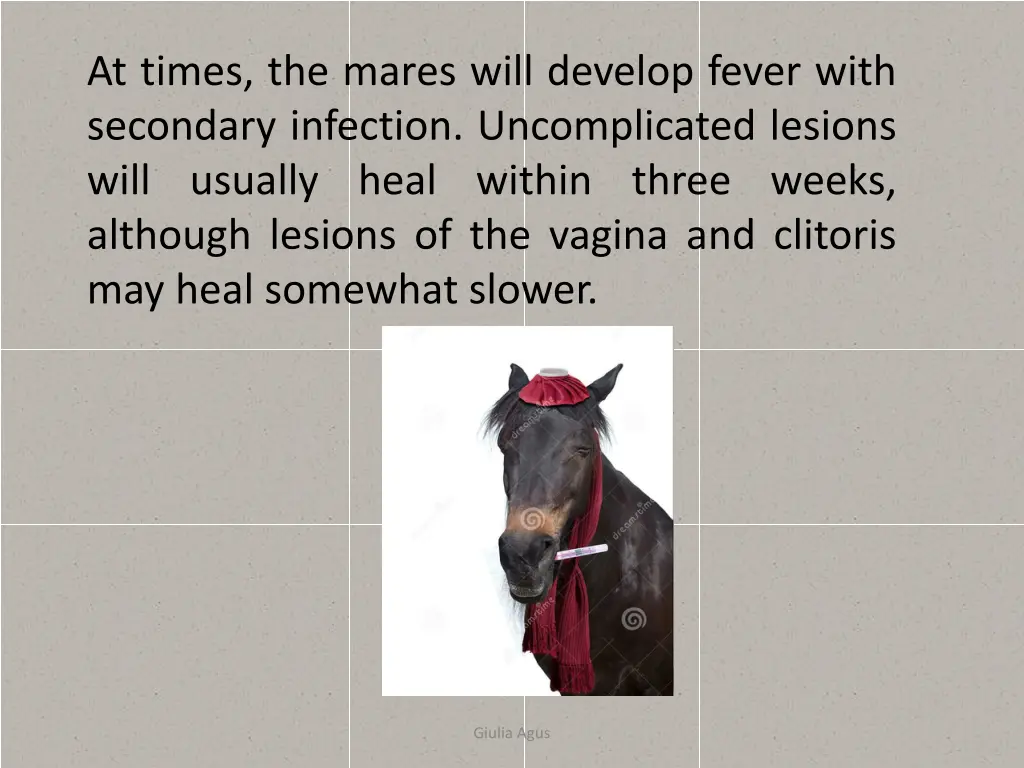 at times the mares will develop fever with