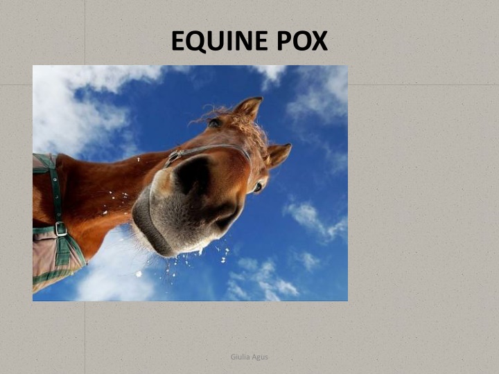 equine pox