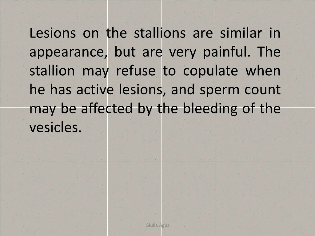 lesions on the stallions are similar