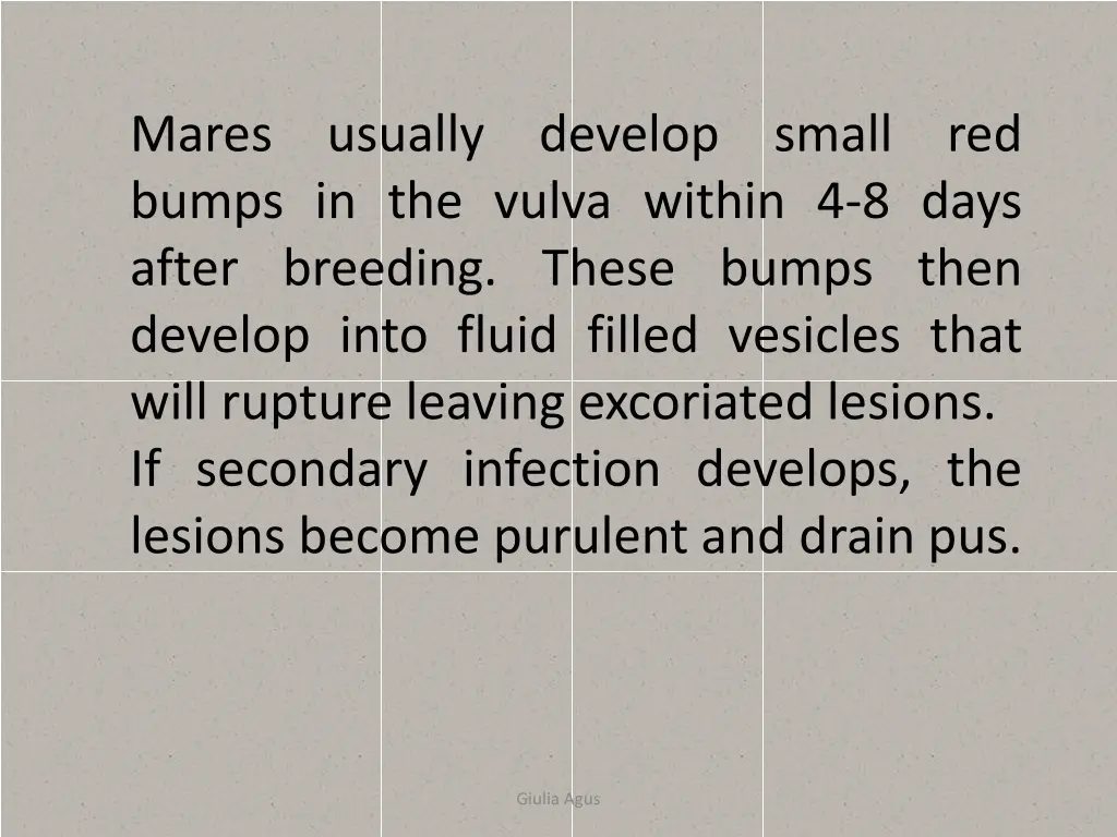 mares bumps in the vulva within 4 8 days after