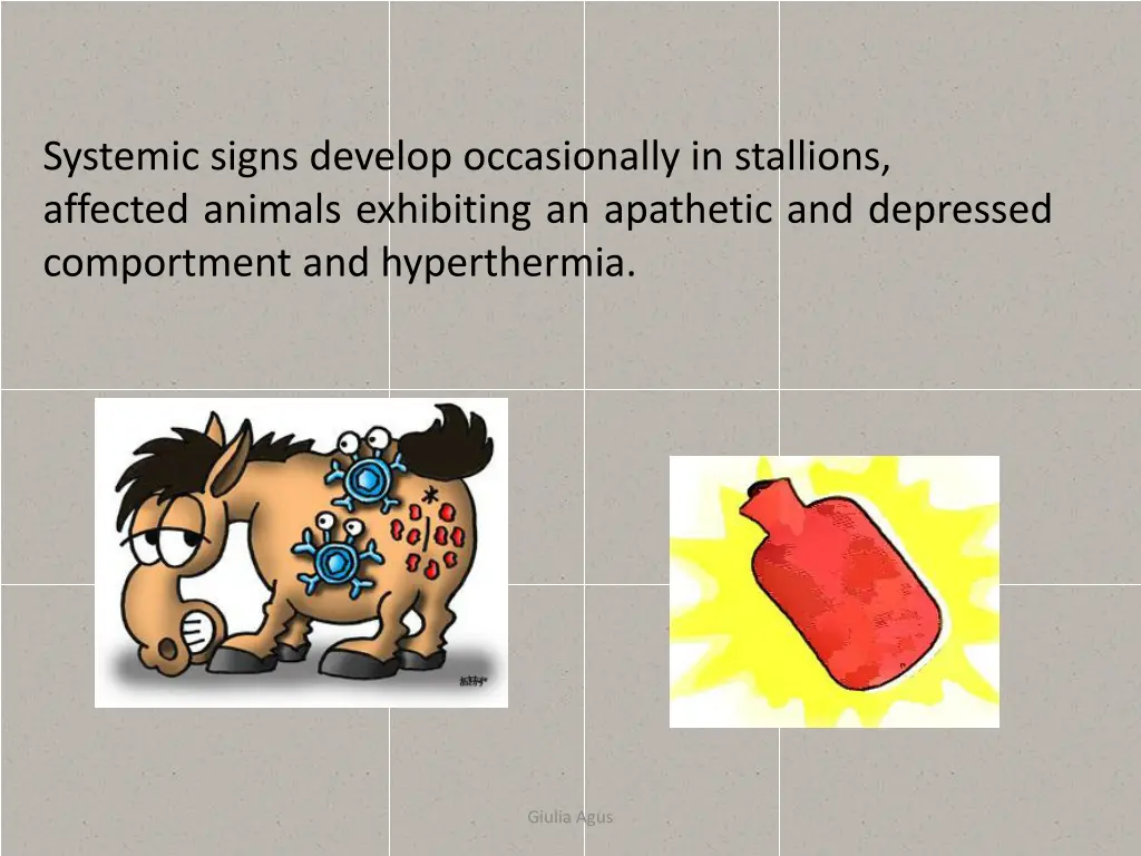 systemic signs develop occasionally in stallions