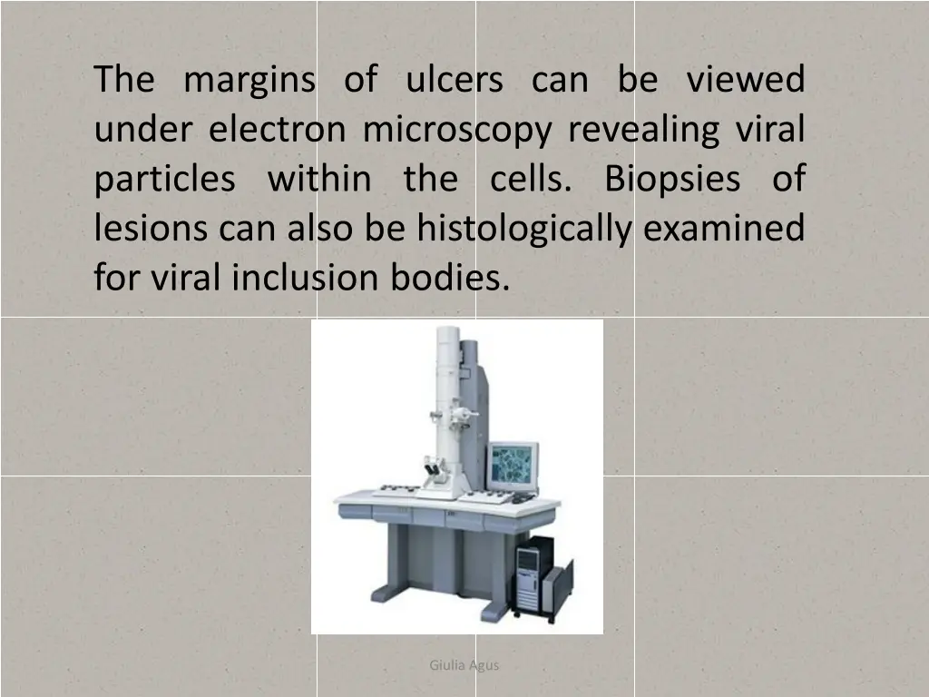 the margins of ulcers can be viewed under