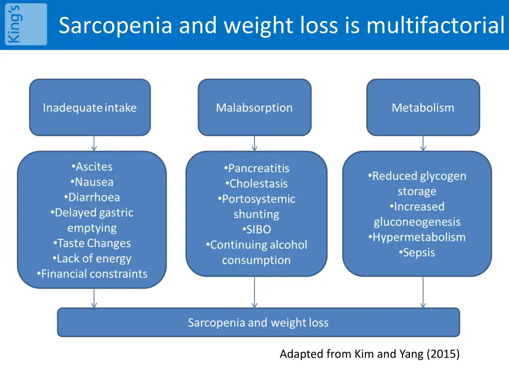 sarcopenia and weight loss is multifactorial