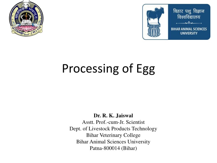 processing of egg