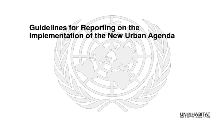 guidelines for reporting on the implementation