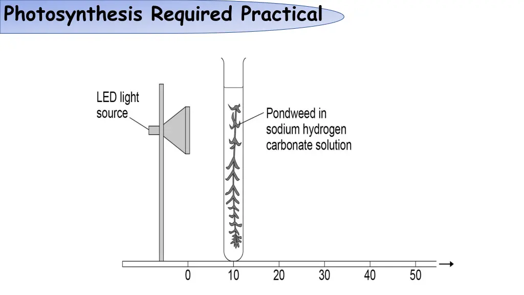 photosynthesis required practical 1