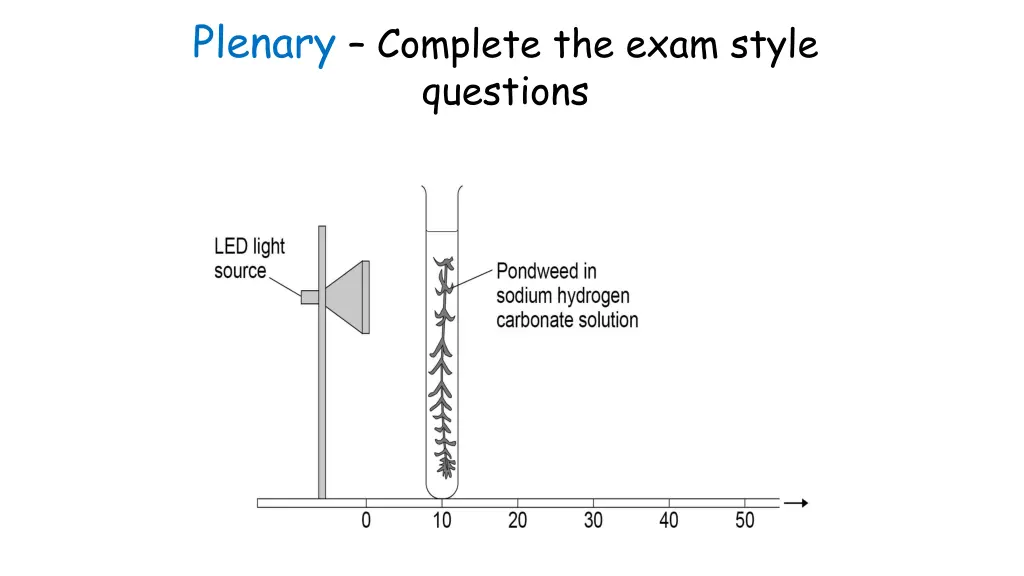 plenary complete the exam style questions