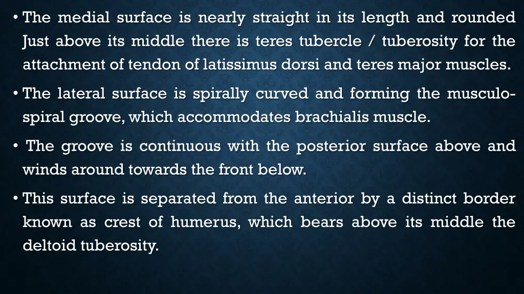 the medial surface is nearly straight