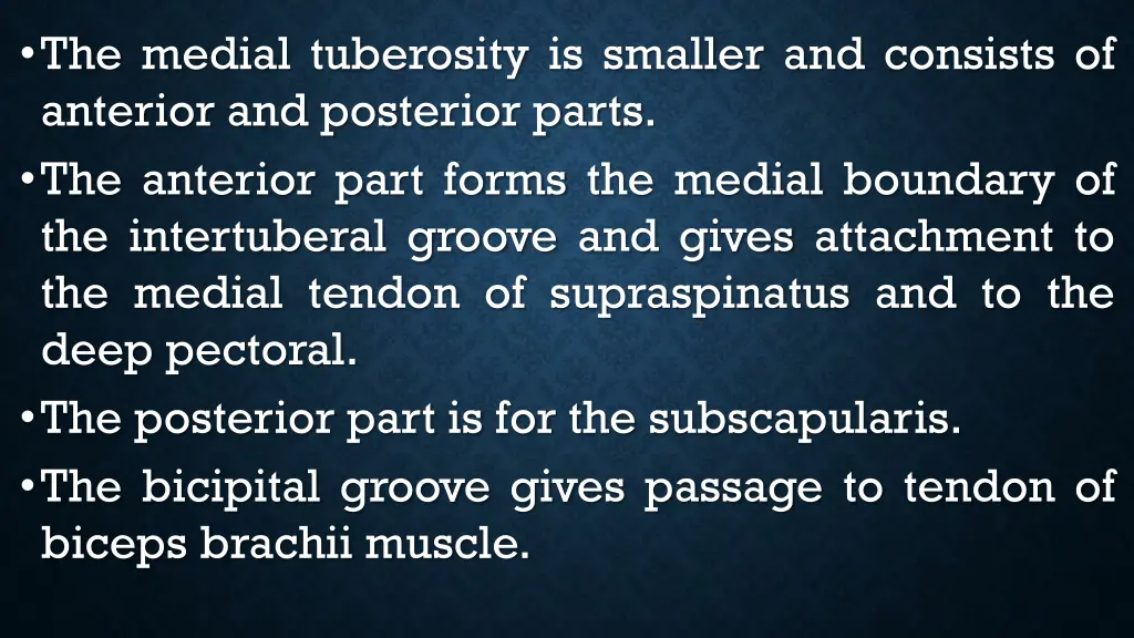 the medial tuberosity is smaller and consists