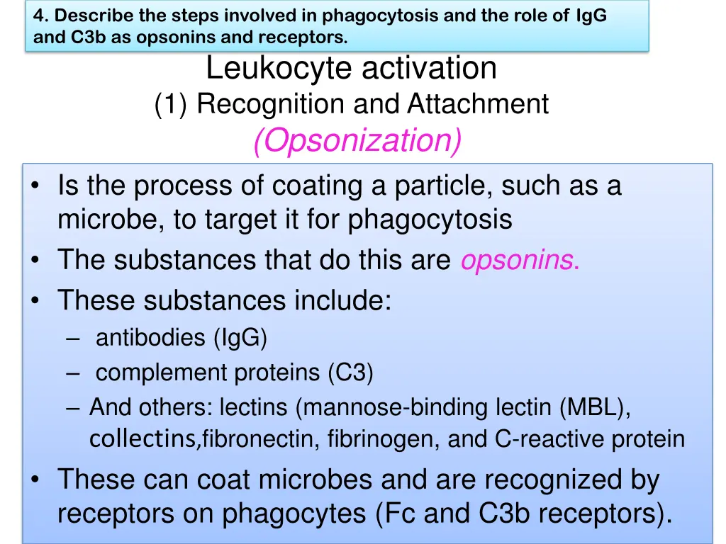 4 describe the steps involved in phagocytosis 3