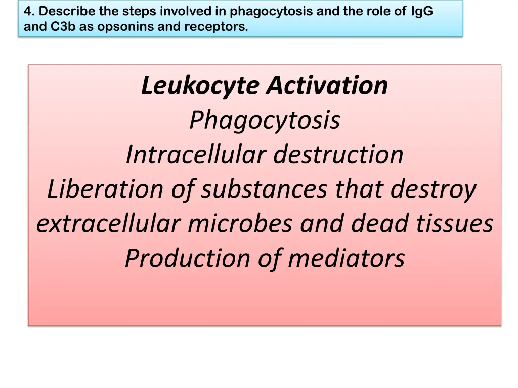 4 describe the steps involved in phagocytosis