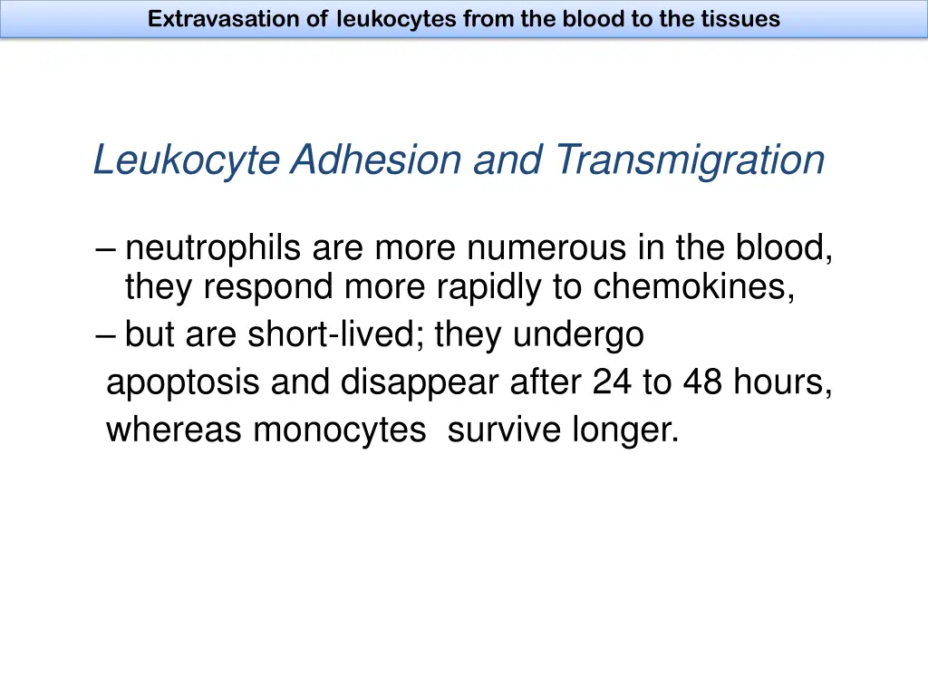 extravasation of leukocytes from the blood 2