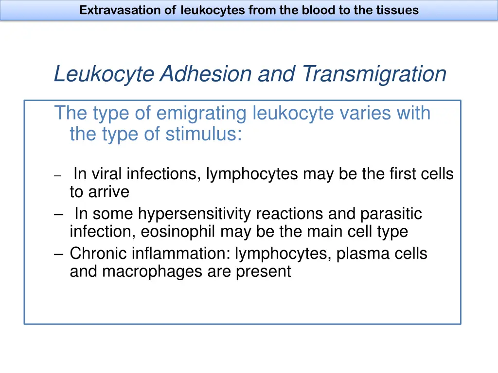 extravasation of leukocytes from the blood 3