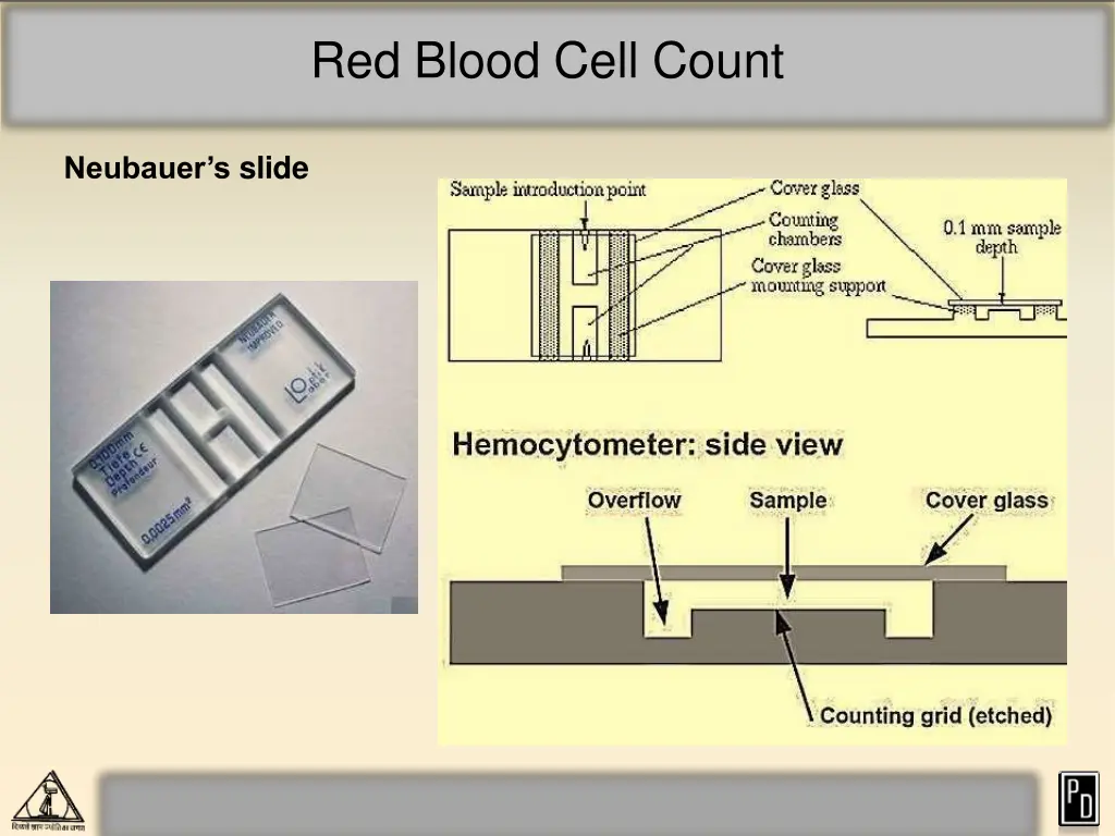 red blood cell count 1